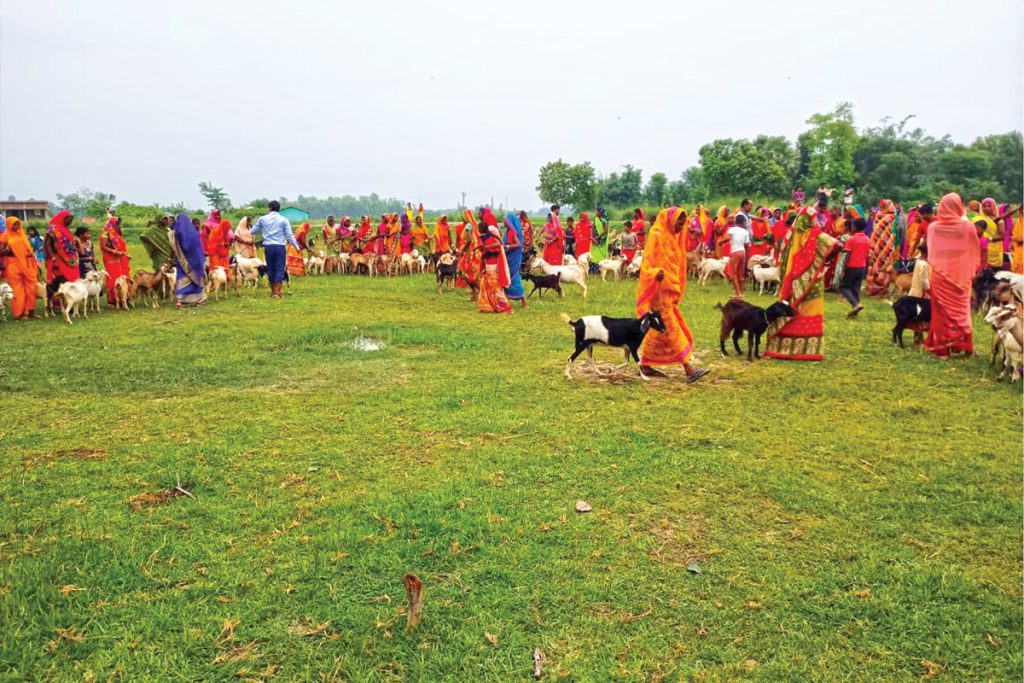 Women working with livestock in Bihar: Photo Credit: GIZ India