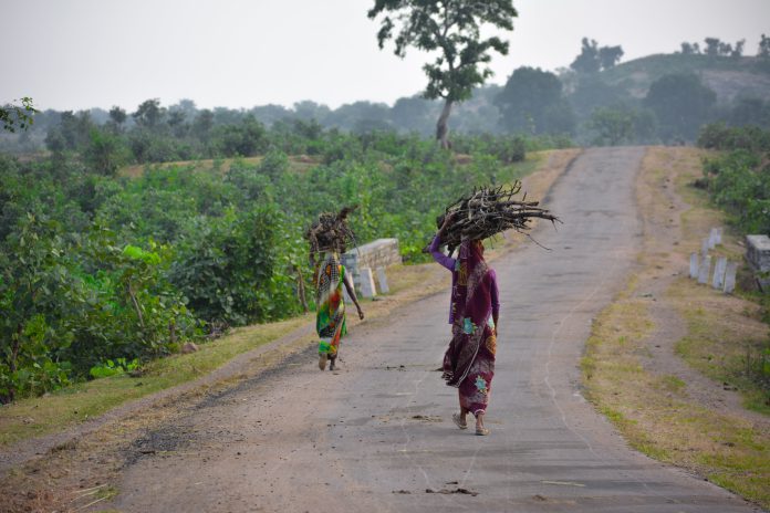 Breaking Barriers, Building Futures: Women Leading the DEI Revolution in Climate Adaptation 