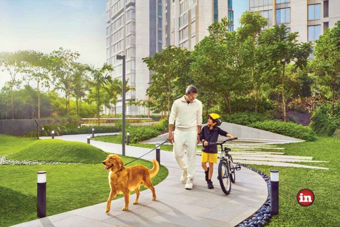Making a Green Ledger take root 