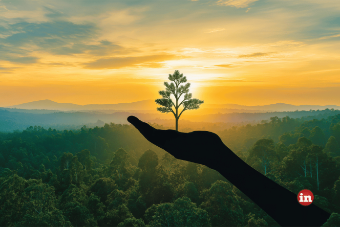 Green is the colour of India’s next economic edge 